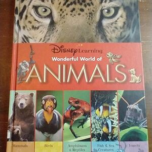 Disney Learning Animals Book with Vibrant Colors